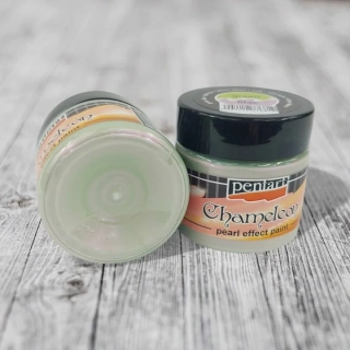 Chaméleon farba 50 ml - zelená/fialová