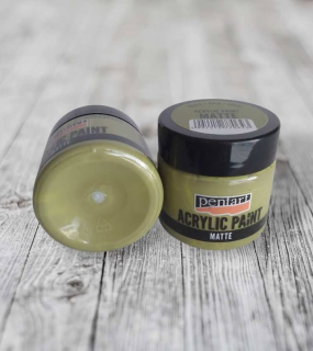 Matná akrylová farba, 50 ml -tŕňová