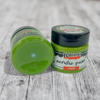 Matná akrylová farba, 50 ml -olivová